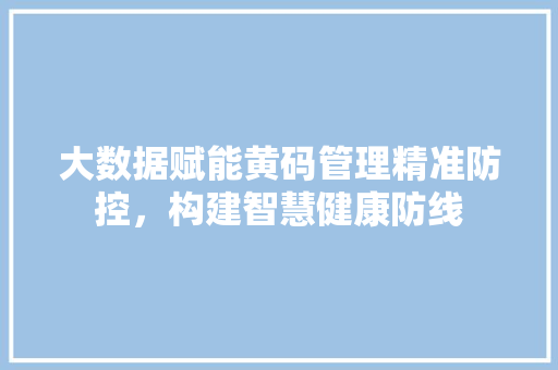 大数据赋能黄码管理精准防控，构建智慧健康防线
