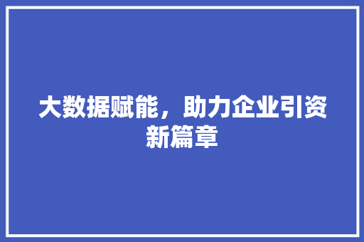 大数据赋能，助力企业引资新篇章