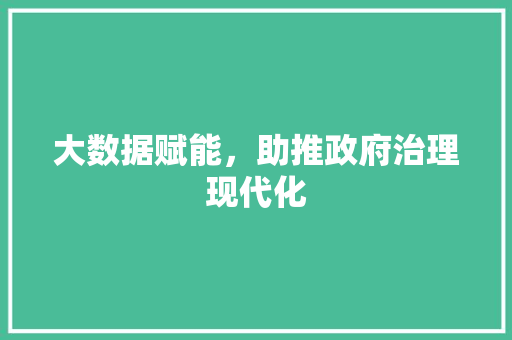 大数据赋能，助推政府治理现代化