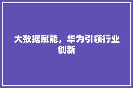 大数据赋能，华为引领行业创新