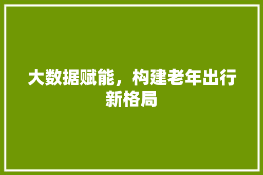 大数据赋能，构建老年出行新格局