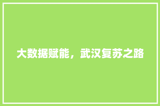 大数据赋能，武汉复苏之路