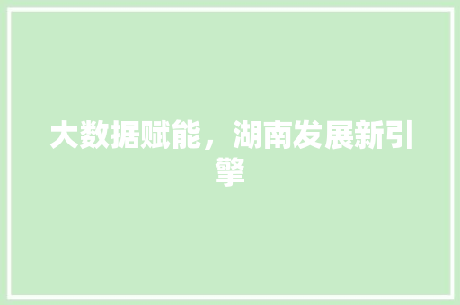 大数据赋能，湖南发展新引擎