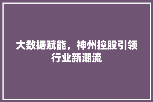 大数据赋能，神州控股引领行业新潮流