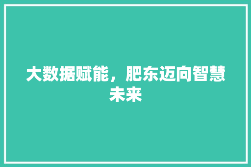 大数据赋能，肥东迈向智慧未来
