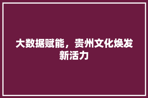 大数据赋能，贵州文化焕发新活力