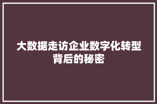 大数据走访企业数字化转型背后的秘密