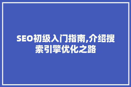 SEO初级入门指南,介绍搜索引擎优化之路 前端技术