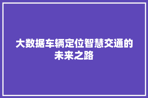 大数据车辆定位智慧交通的未来之路