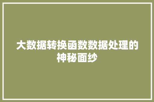 大数据转换函数数据处理的神秘面纱