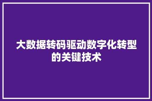大数据转码驱动数字化转型的关键技术