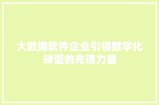 大数据软件企业引领数字化转型的先锋力量