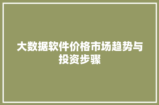 大数据软件价格市场趋势与投资步骤