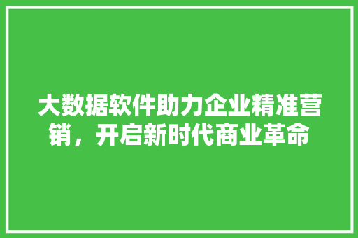 大数据软件助力企业精准营销，开启新时代商业革命