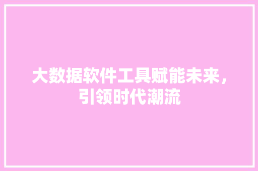 大数据软件工具赋能未来，引领时代潮流
