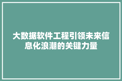 大数据软件工程引领未来信息化浪潮的关键力量
