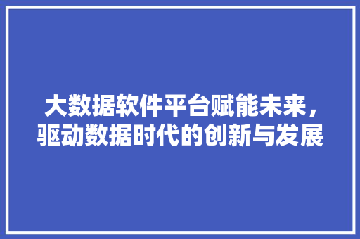 大数据软件平台赋能未来，驱动数据时代的创新与发展