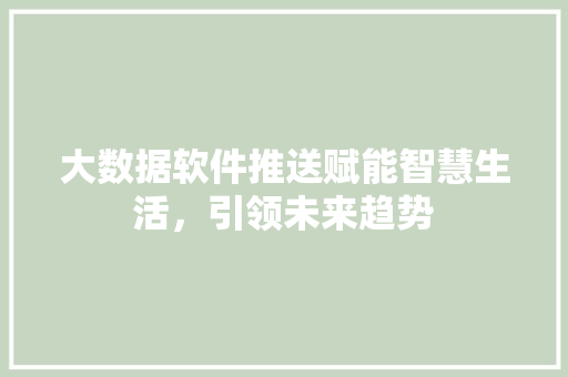 大数据软件推送赋能智慧生活，引领未来趋势