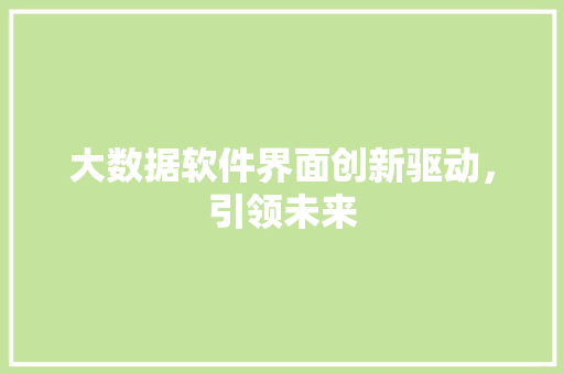 大数据软件界面创新驱动，引领未来