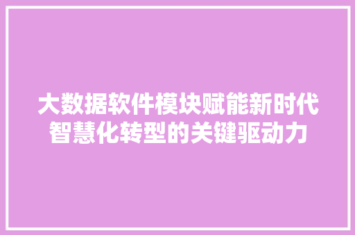 大数据软件模块赋能新时代智慧化转型的关键驱动力