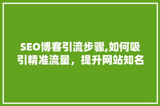 SEO博客引流步骤,如何吸引精准流量，提升网站知名度 前端技术