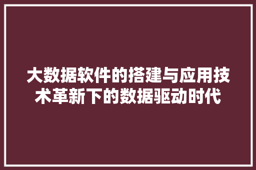 大数据软件的搭建与应用技术革新下的数据驱动时代