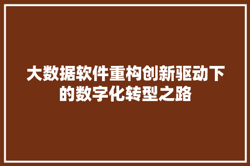大数据软件重构创新驱动下的数字化转型之路