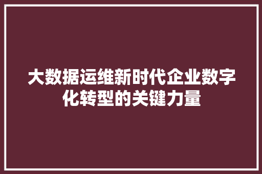 大数据运维新时代企业数字化转型的关键力量
