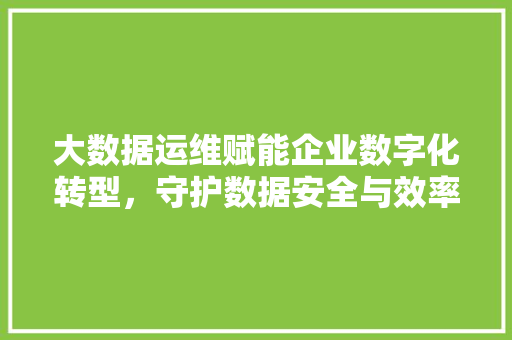 大数据运维赋能企业数字化转型，守护数据安全与效率
