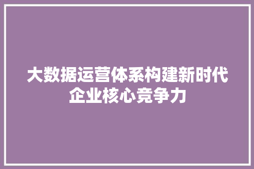 大数据运营体系构建新时代企业核心竞争力