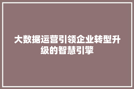 大数据运营引领企业转型升级的智慧引擎