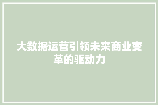 大数据运营引领未来商业变革的驱动力