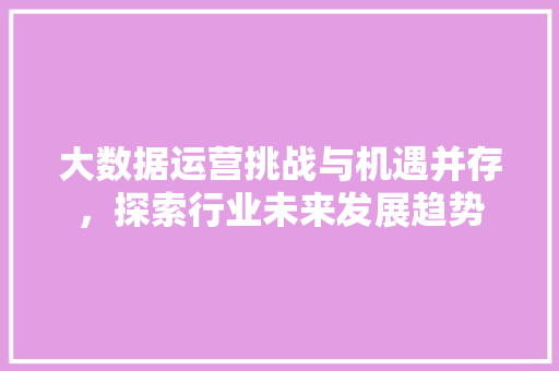 大数据运营挑战与机遇并存，探索行业未来发展趋势