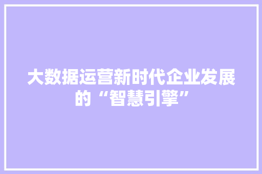 大数据运营新时代企业发展的“智慧引擎”