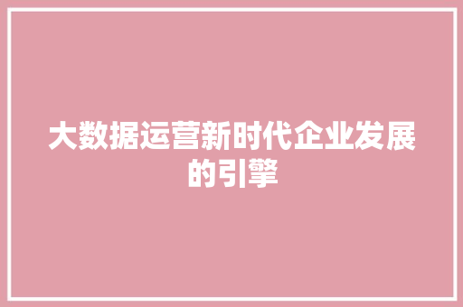 大数据运营新时代企业发展的引擎