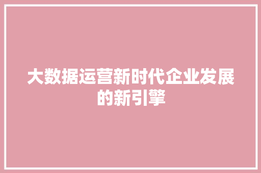大数据运营新时代企业发展的新引擎