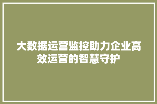 大数据运营监控助力企业高效运营的智慧守护