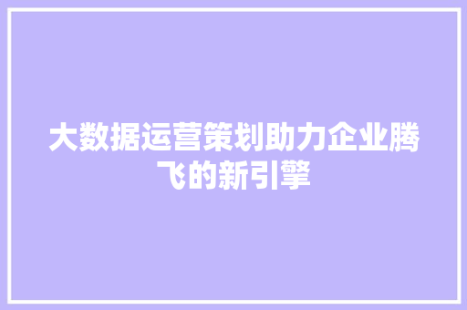 大数据运营策划助力企业腾飞的新引擎
