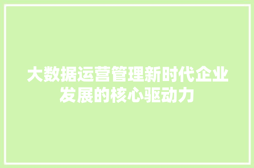 大数据运营管理新时代企业发展的核心驱动力