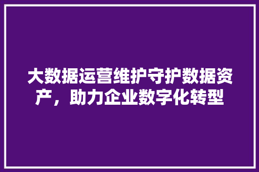 大数据运营维护守护数据资产，助力企业数字化转型