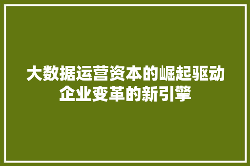 大数据运营资本的崛起驱动企业变革的新引擎