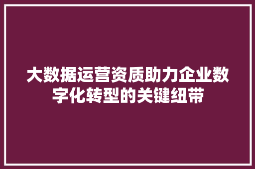 大数据运营资质助力企业数字化转型的关键纽带