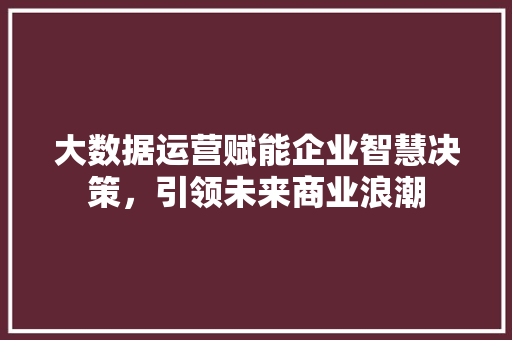 大数据运营赋能企业智慧决策，引领未来商业浪潮