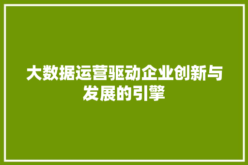 大数据运营驱动企业创新与发展的引擎