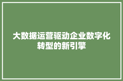 大数据运营驱动企业数字化转型的新引擎