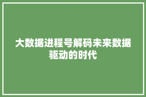 大数据进程号解码未来数据驱动的时代