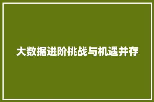 大数据进阶挑战与机遇并存