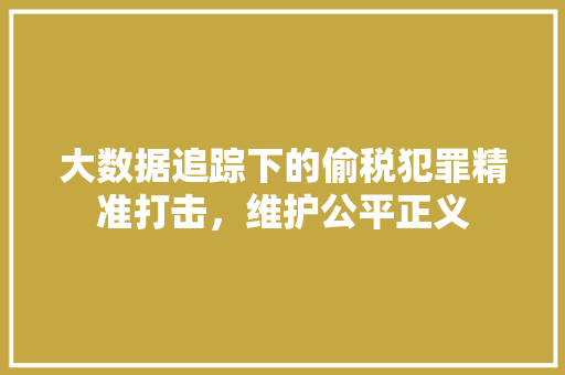 大数据追踪下的偷税犯罪精准打击，维护公平正义