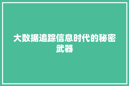 大数据追踪信息时代的秘密武器