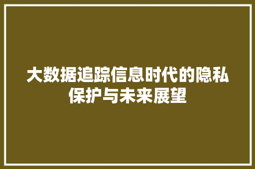 大数据追踪信息时代的隐私保护与未来展望